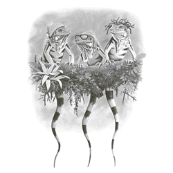 REGGAE IGUANA 05321SA2.gif